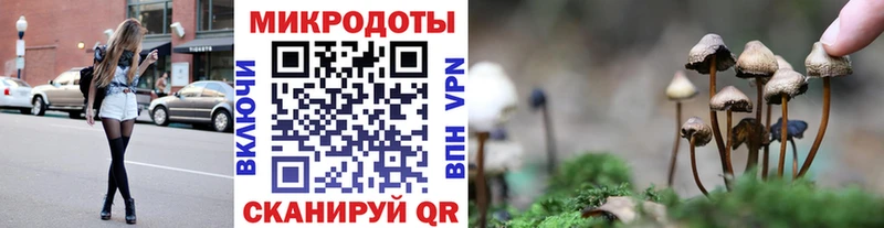блэк спрут сайт  Очёр  Псилоцибиновые грибы Psilocybine cubensis  цена  
